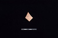 藏品(陶片)的圖片